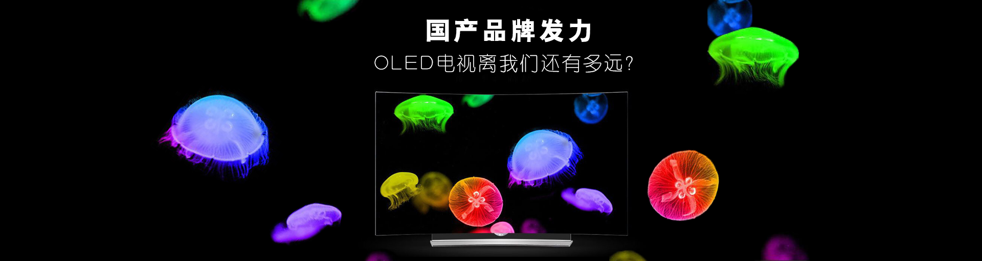 国产品牌发力 OLED电视离我们还有多远？